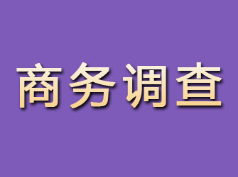 孙吴商务调查